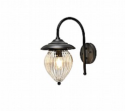 ���� 2146 ���