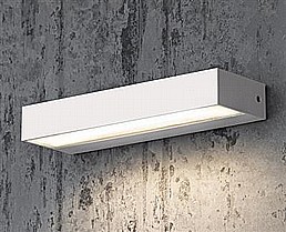 סטיב לד סטיב לד