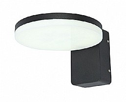 ���� ���� ���