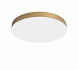 נוגה צמוד CCT נוגה צמוד CCT