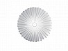 Muse 80 Wall / Ceiling By Axolight