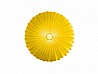 Muse 80 Wall / Ceiling By Axolight