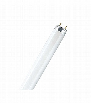 ���� ������� T-8 15W