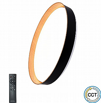 ����� ���� CCT + ���
