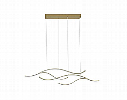 ������ ���� CCT