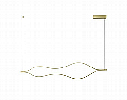 ����� ���� CCT