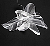 Etoile Suspension Lamp By Slamp
