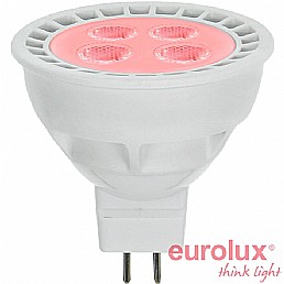 נורת דקרויקה 12V 4W נורת דקרויקה 12V 4W