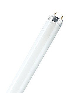 ���� ������� LUMILUX L36W/835 OSRAM
