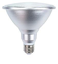 נורת לד לגינה PAR38 8W נורת לד לגינה PAR38 8W